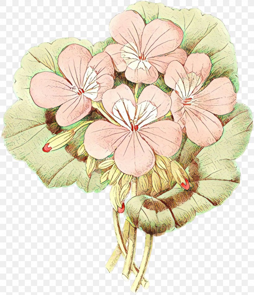 Flower Pink Petal Plant Clip Art, PNG, 1554x1800px, Cartoon, Blossom, Flower, Geranium, Petal Download Free