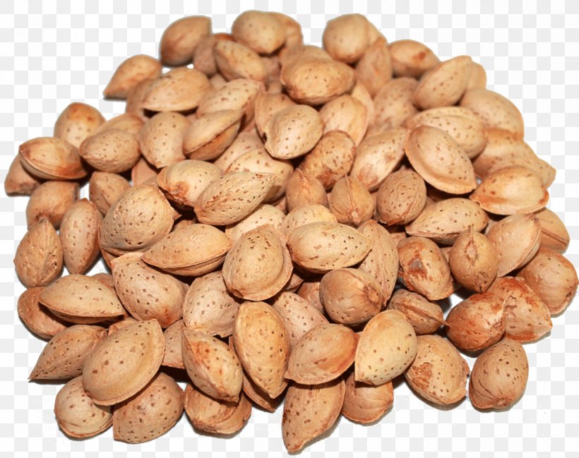 Srinagar Almond Nut Dried Fruit Wholesale, PNG, 1200x950px, Srinagar, Almond, Cashew, Commodity, Dried Fruit Download Free