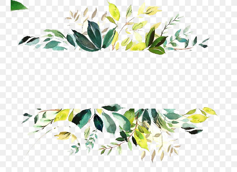 Watercolor Painting Vector Graphics Image, PNG, 746x597px, Watercolor Painting, Botany, Branch, Drawing, Flower Download Free