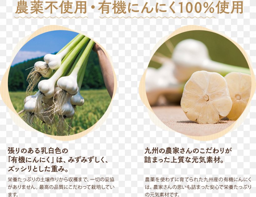 Kenkoukazoku Garlic Dietary Supplement Functional Food Yolk, PNG, 1011x780px, Garlic, Alternative Uses For Placenta, Cuisine, Dietary Supplement, Flax Download Free