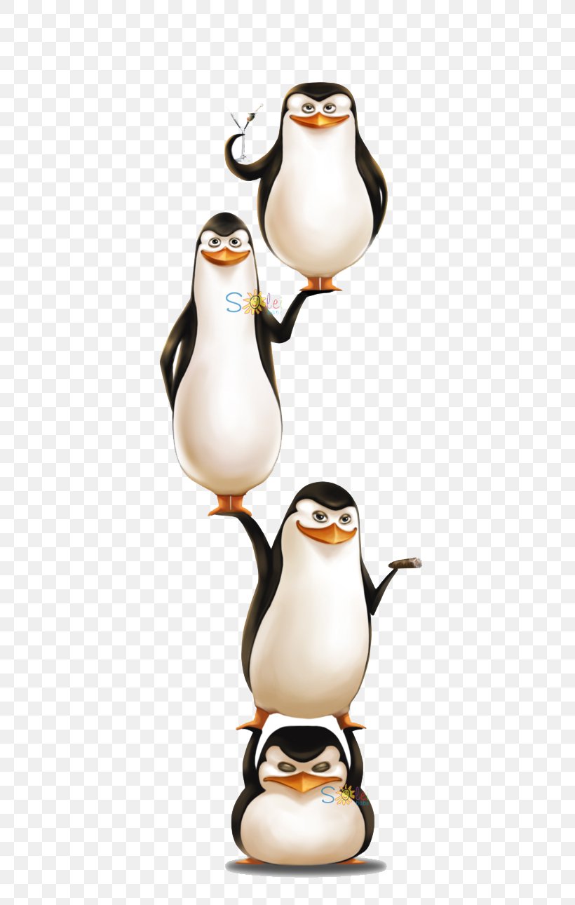 Penguin Skipper Kowalski Madagascar DreamWorks Animation, PNG, 539x1290px, Penguin, Animated Film, Art, Bird, Coffee Cup Download Free