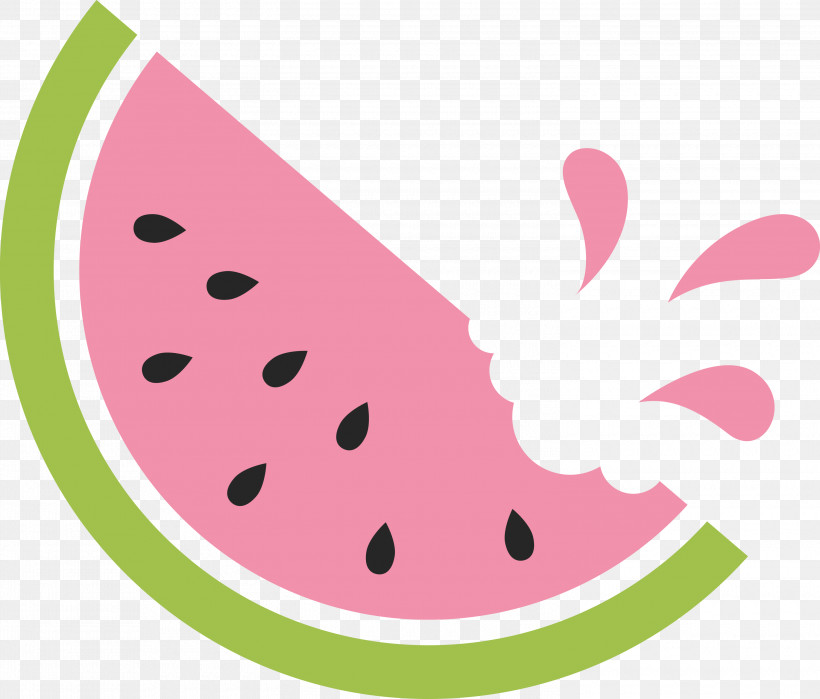 Watermelon Summer Fruit, PNG, 3000x2560px, Watermelon, Fruit, Logo, M, Meter Download Free