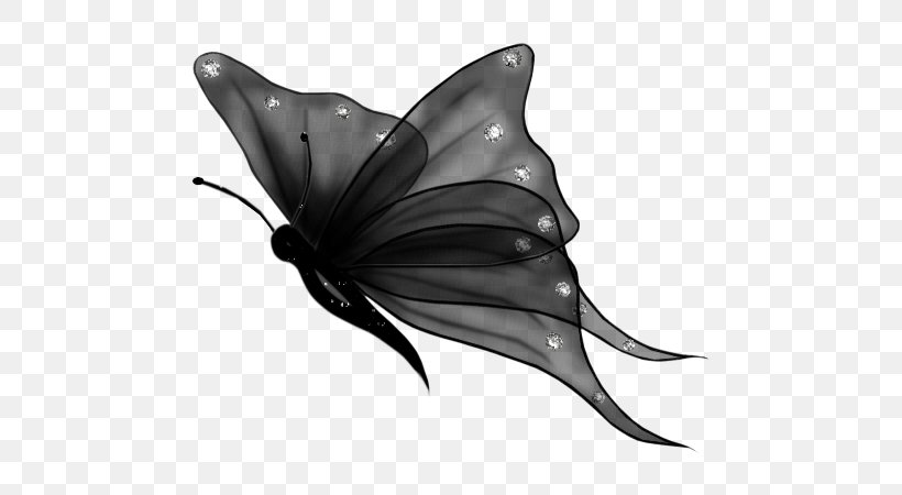 Butterfly Desktop Wallpaper Clip Art, PNG, 575x450px, Butterfly, Black, Black And White, Butterflies And Moths, Dolphin Download Free