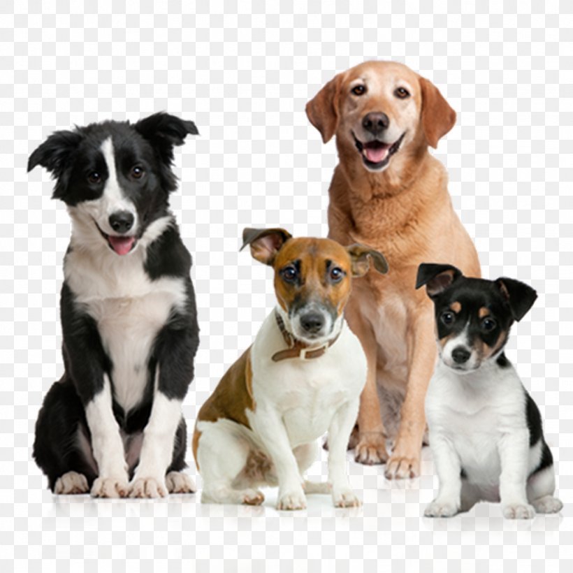 Dog Pet Sitting Puppy Clip Art, PNG, 1024x1024px, Dog, Clipping Path, Companion Dog, Display Resolution, Dog Breed Download Free