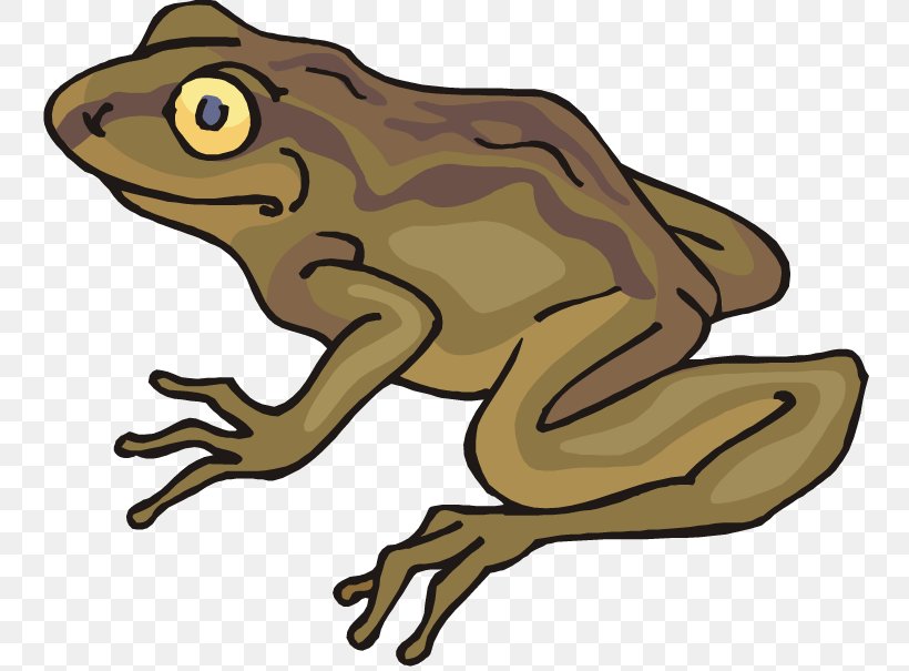 Frog And Toad All Year Clip Art, PNG, 750x605px, Frog, American Bullfrog, Amphibian, Animal Figure, Artwork Download Free