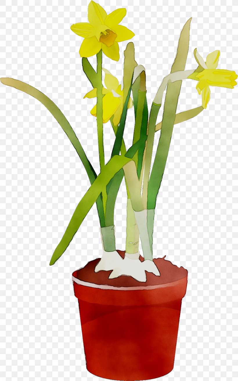 Cattleya Orchids Cut Flowers Floristry Flowerpot Houseplant, PNG, 1076x1723px, Cattleya Orchids, Amaryllis Family, Cattleya, Cut Flowers, Dendrobium Download Free