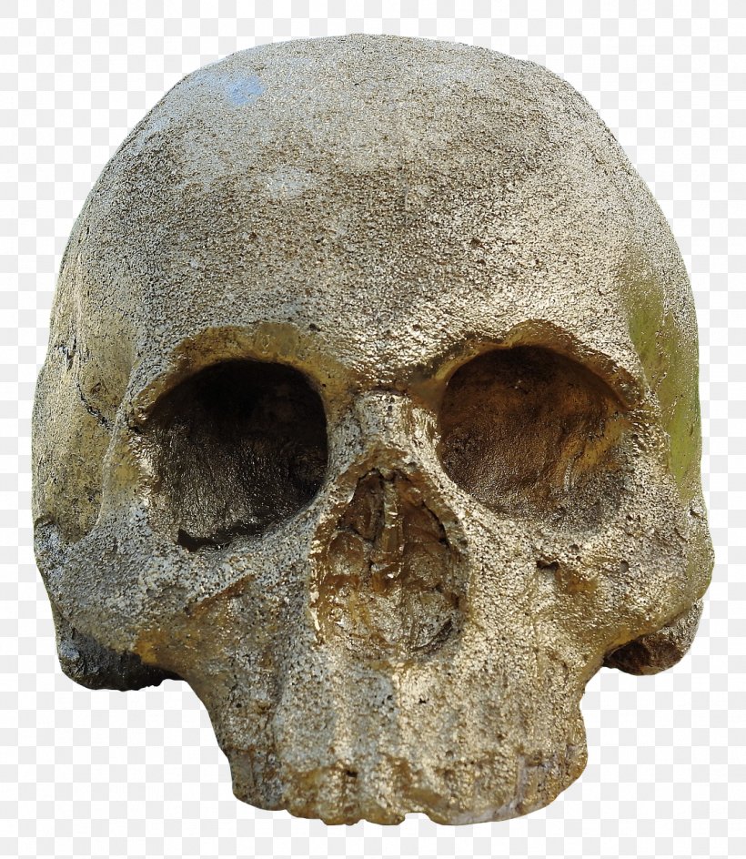Human Skull Symbolism Skeleton Skull And Crossbones, PNG, 1111x1280px, Skull, Artifact, Bone, Head, Human Skull Symbolism Download Free