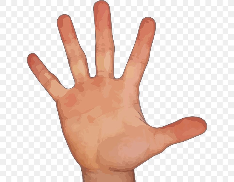 Index Finger Hand Little Finger Thumb, PNG, 632x640px, Finger, Arm, Digit, Hand, Hand Model Download Free