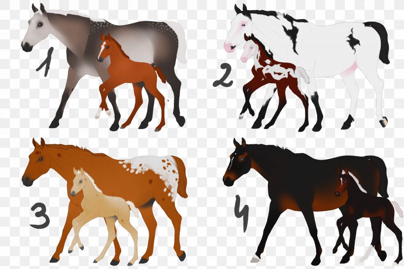 Mustang Foal Mare Appaloosa American Paint Horse, PNG, 3000x2000px, Mustang, American Miniature Horse, American Paint Horse, Animal Figure, Appaloosa Download Free