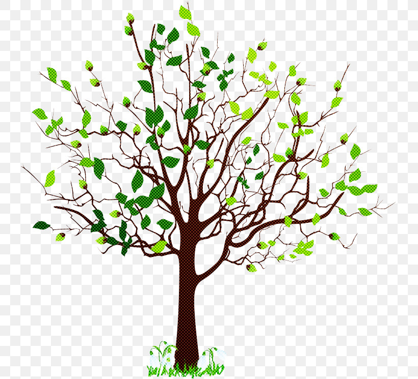 Plane, PNG, 739x745px, Tree, Branch, Flower, Leaf, Plane Download Free