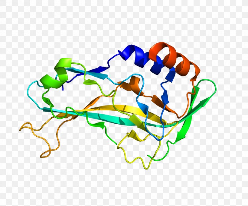T-box TBX5 Gene Transcription Factor, PNG, 1200x1000px, Tbox, Area, Brachyury, Conserved Sequence, Dnabinding Domain Download Free