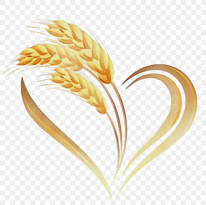 Wheat, PNG, 881x879px, Watercolor, Biology, Commodity, Flower, Grain Download Free