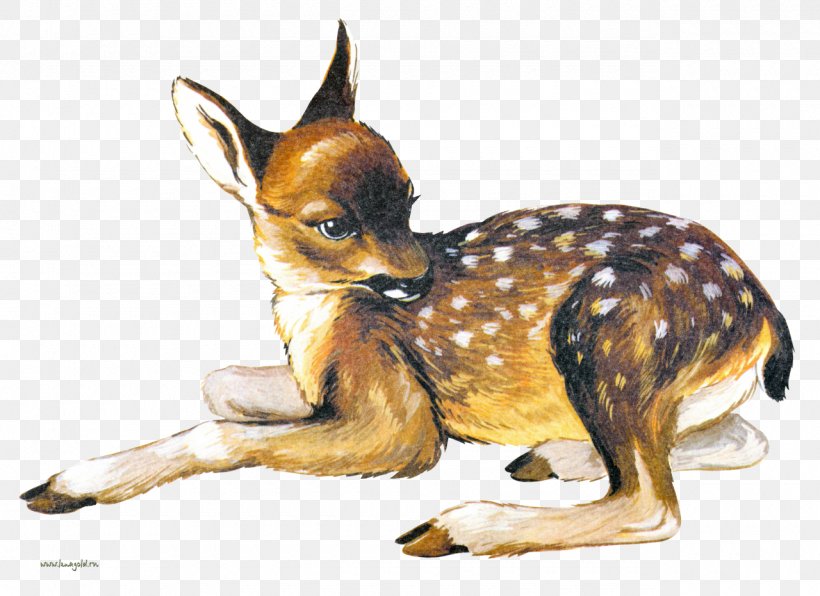 Deer Dog Breed Drawing Clip Art, PNG, 1280x931px, Deer, Animal, Carnivoran, Dog, Dog Breed Download Free