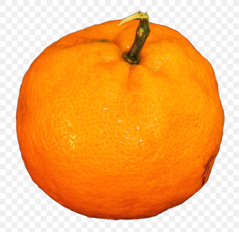 Mandarin Orange Tangerine Tangelo Citron Rangpur, PNG, 800x794px, Mandarin Orange, Bitter Orange, Blood Orange, Citric Acid, Citron Download Free