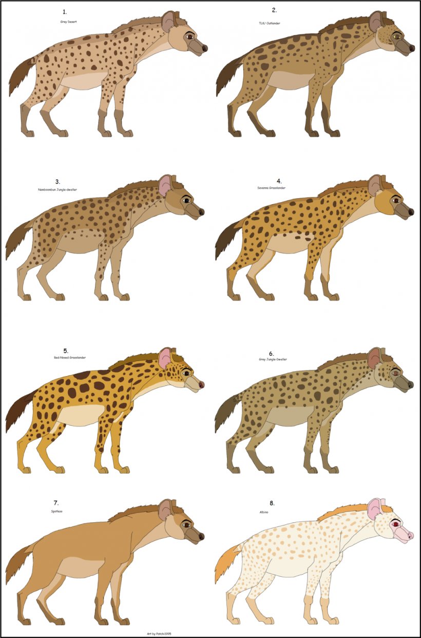 Striped Hyena Cheetah Lion Gray Wolf, PNG, 1024x1549px, Hyena, African Leopard, Animal, Animal Figure, Big Cats Download Free