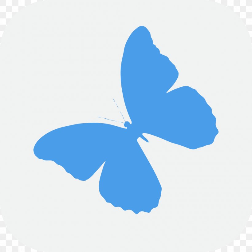 Wallpaper Sticker Wallpaper Room, PNG, 1000x1000px, Paper, Bedroom, Butterfly, Decal, Flower Download Free