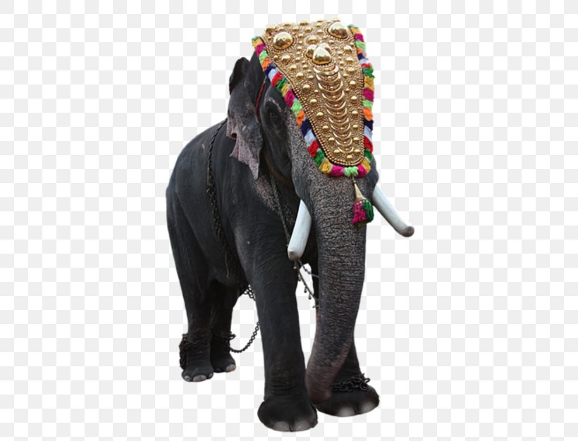 Elephant Download Clip Art, PNG, 417x626px, Elephant, African Elephant, Animal, Blog, Circus Download Free