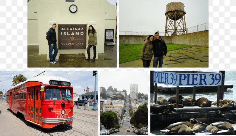 Pier 39 Mode Of Transport Vehicle Travel, PNG, 1195x687px, Pier 39, Brand, Mode Of Transport, Pier, San Francisco Download Free