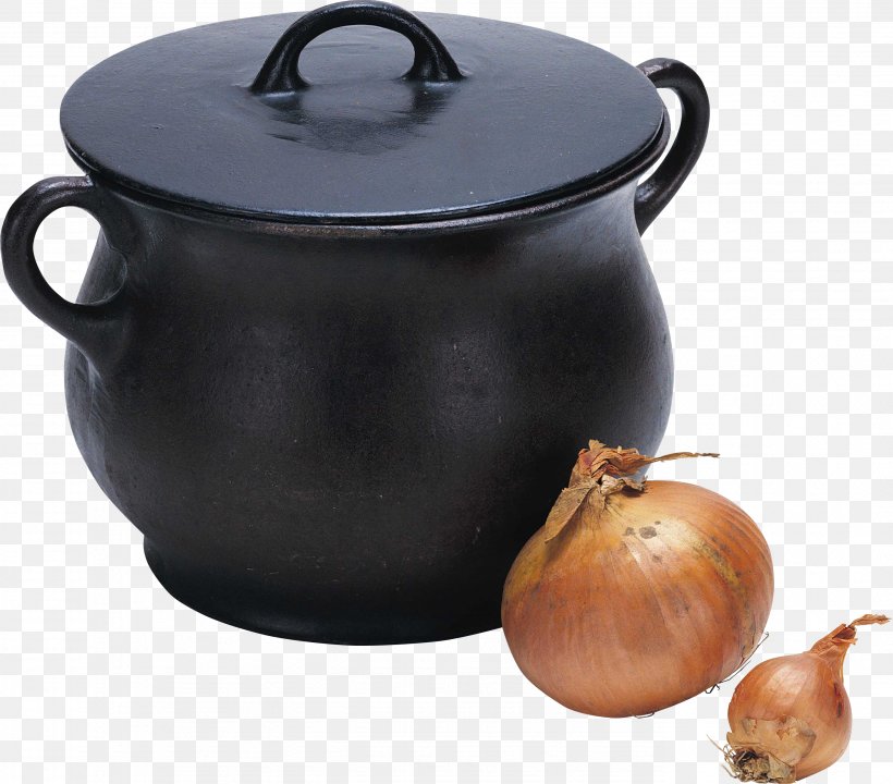 Shallot Garlic Vegetable Recipe Leek, PNG, 2754x2420px, Shallot, Allium, Casserole, Clay Pot Cooking, Cooking Download Free