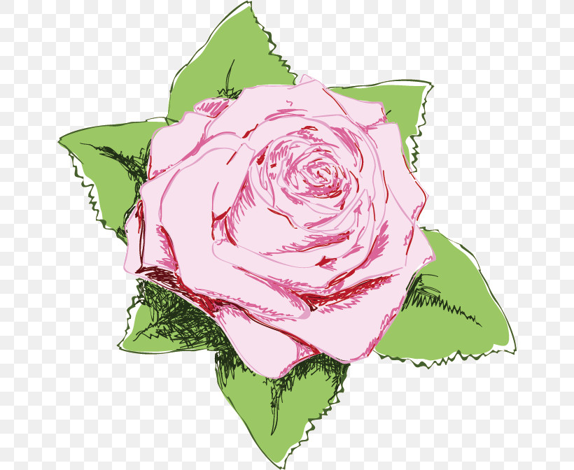 One Flower One Rose Valentines Day, PNG, 656x672px, One Flower, Camellia, China Rose, Cut Flowers, Floribunda Download Free
