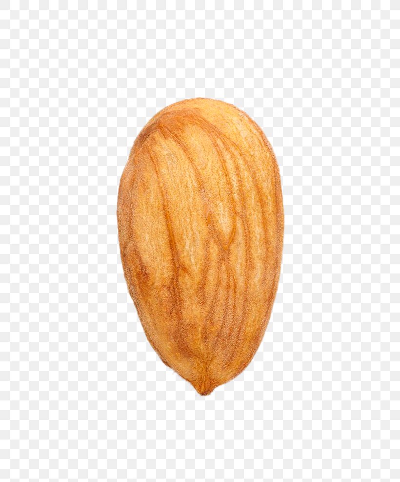 Almond Nut Download Dried Fruit, PNG, 658x987px, Almond, Chinese Dragon, Commodity, Dried Fruit, Google Images Download Free