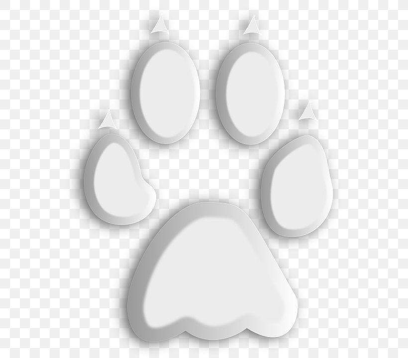 Animal Footprint, PNG, 560x720px, Animal, Animal Track, Black And White, Drawing, Foot Download Free