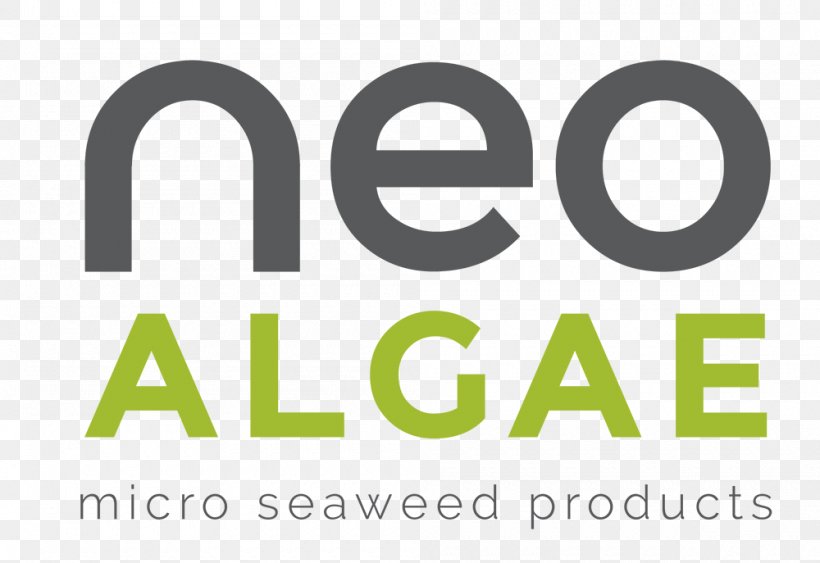 Neoalgae Jamie's Italian Den Haag Technology Empresa, PNG, 1000x687px, Technology, Algae, Area, Biotechnology, Brand Download Free