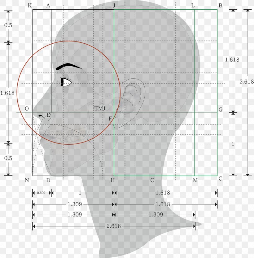 Golden Ratio Human Body Proportionality Geometry, PNG, 1200x1220px, Watercolor, Cartoon, Flower, Frame, Heart Download Free