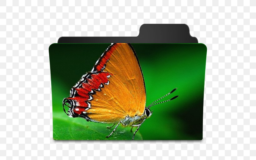 Monarch Butterfly Pieridae Gossamer-winged Butterflies, PNG, 512x512px, Monarch Butterfly, Animal, Arthropod, Brush Footed Butterfly, Brushfooted Butterflies Download Free