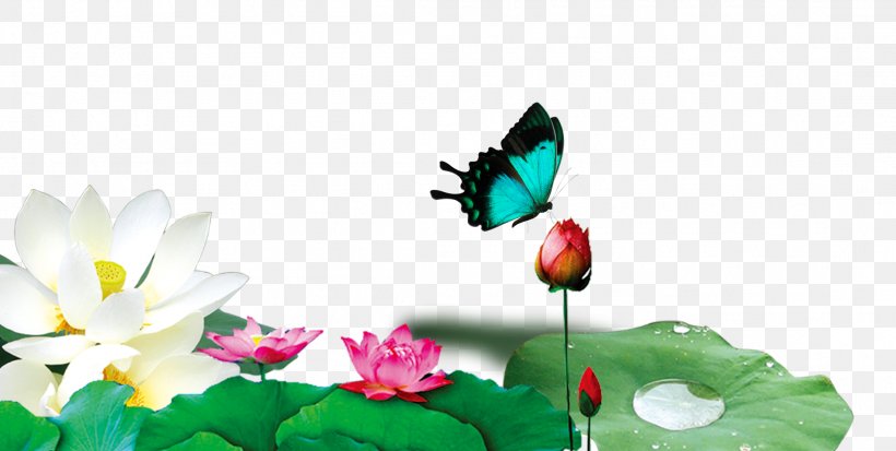 Nelumbo Nucifera Lotus Effect Wallpaper, PNG, 2201x1110px, Nelumbo Nucifera, Butterfly, Designer, Flora, Floral Design Download Free