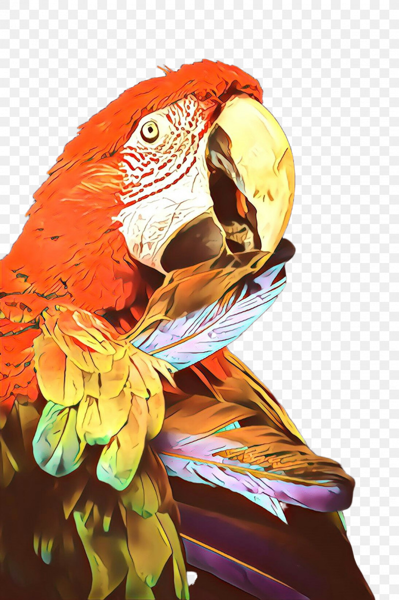 Orange, PNG, 1632x2452px, Macaw, Beak, Bird, Budgie, Feather Download Free