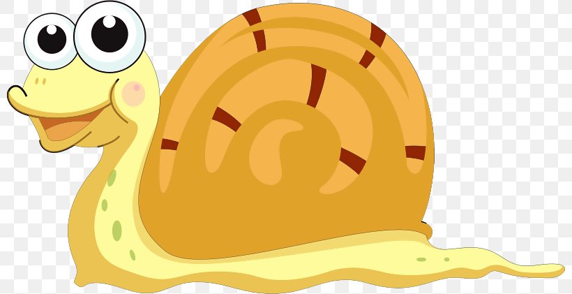 Snail Cartoon Clip Art, PNG, 800x421px, Snail, Ampullariidae, Cartoon, Drawing, Emoticon Download Free