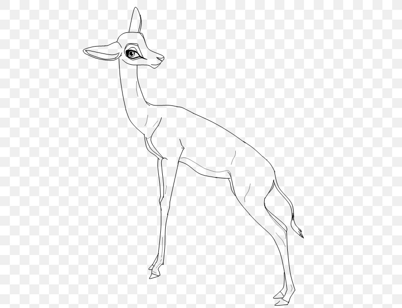 Springbok Gazelle Line Art Deer Camel, PNG, 720x628px, Springbok, Animal, Antelope, Artwork, Black And White Download Free
