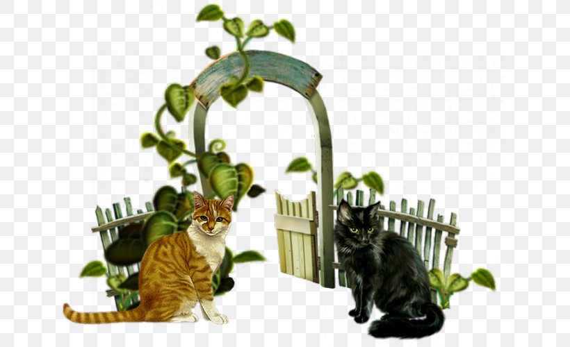 Cat Gaia Themis Animal, PNG, 639x500px, Cat, Animal, Bindweed, Bird, Cat Like Mammal Download Free