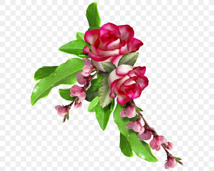 Garden Roses Floral Design Flower Clip Art, PNG, 600x656px, Garden Roses, Art, Artificial Flower, Cut Flowers, Floral Design Download Free