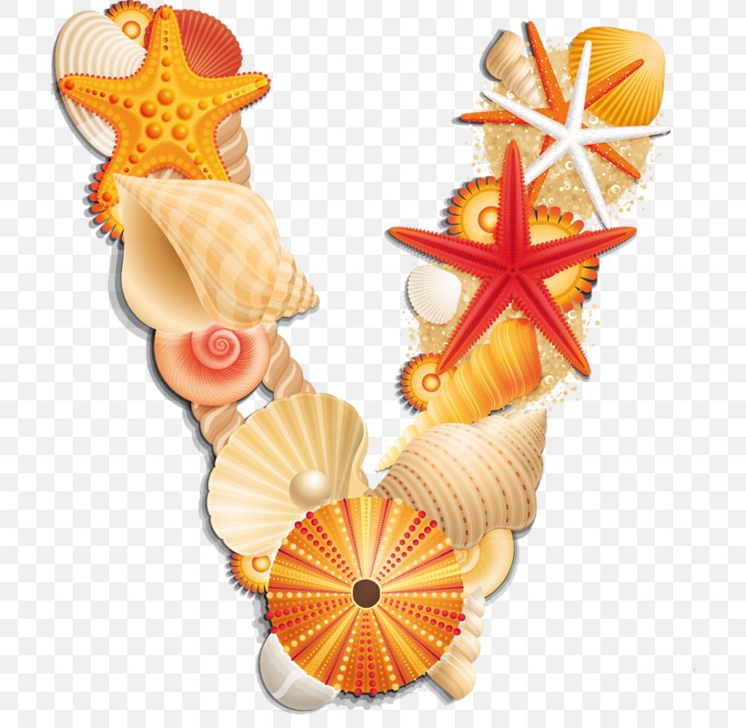 Seashell Sea Urchin Letter Clip Art Alphabet, PNG, 708x800px, Seashell, Alphabet, Bivalvia, Chambered Nautilus, Conch Download Free