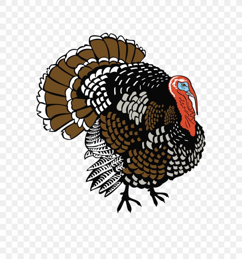 Turkey White Clip Art, PNG, 1119x1200px, Turkey, Beak, Bird, Chicken, Domesticated Turkey Download Free