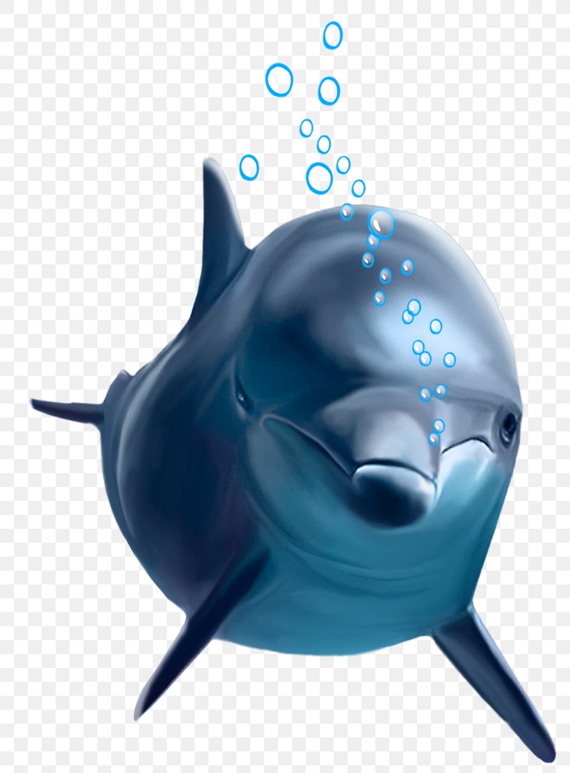 Common Bottlenose Dolphin, PNG, 815x1111px, Common Bottlenose Dolphin, Bottlenose Dolphin, Cartilaginous Fish, Cetacea, Cobalt Blue Download Free