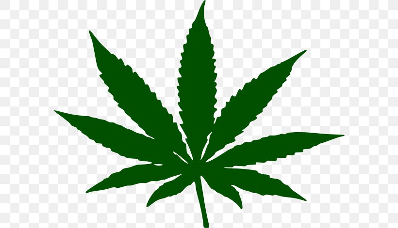 Hash, Marihuana & Hemp Museum Cannabis Smoking Leaf Clip Art, PNG, 600x471px, Hash Marihuana Hemp Museum, Bong, Cannabinoid, Cannabis, Cannabis Smoking Download Free