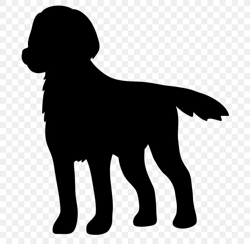 Labrador Retriever Puppy Dog Breed Gun Dog, PNG, 800x800px, Labrador Retriever, Breed, Canidae, Carnivore, Curly Coated Retriever Download Free