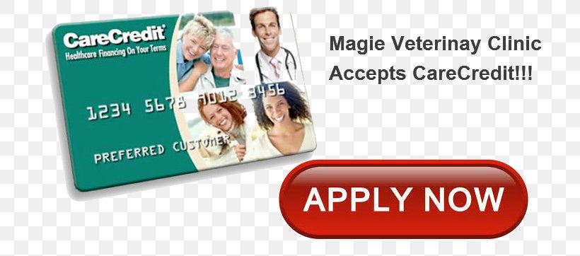 Magie Veterinary Clinic Health Care Finance Credit Veterinarian, PNG, 730x362px, Health Care, Advertising, Area, Bank, Banner Download Free