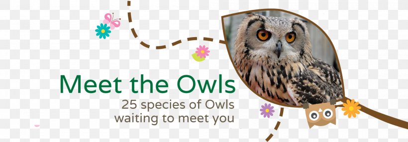 The Secret Owl Garden Bird Of Prey Owls Of The World, PNG, 2000x700px, Owl, Beak, Bird, Bird Of Prey, Brand Download Free