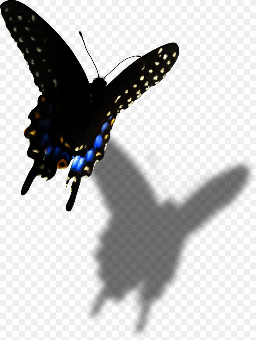 Butterfly Clip Art, PNG, 1376x1827px, Butterfly, Animal, Arthropod, Black, Blog Download Free