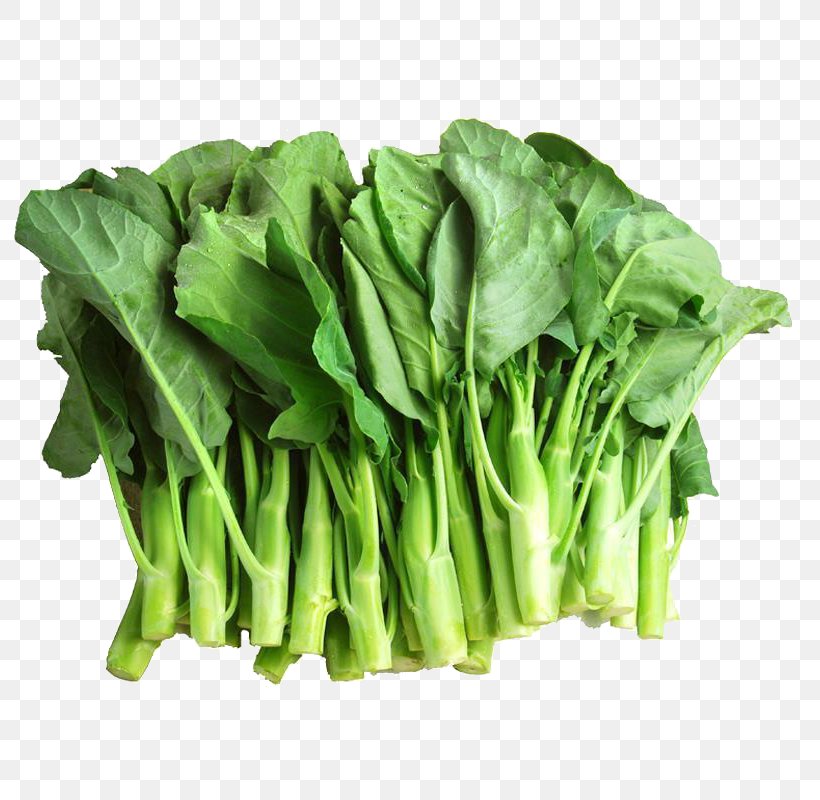 Chinese Broccoli Brassica Juncea Vegetable Kale, PNG, 800x800px, Chinese Broccoli, Brassica, Brassica Juncea, Brassica Oleracea, Broccoli Download Free