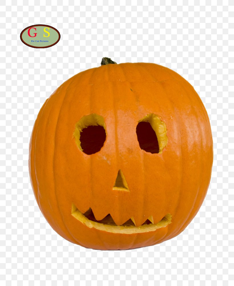 Jack-o'-lantern Halloween Pumpkins Halloween Pumpkins Pumpkin Pie, PNG, 800x1000px, Pumpkin, Calabaza, Carving, Child, Cucumber Gourd And Melon Family Download Free
