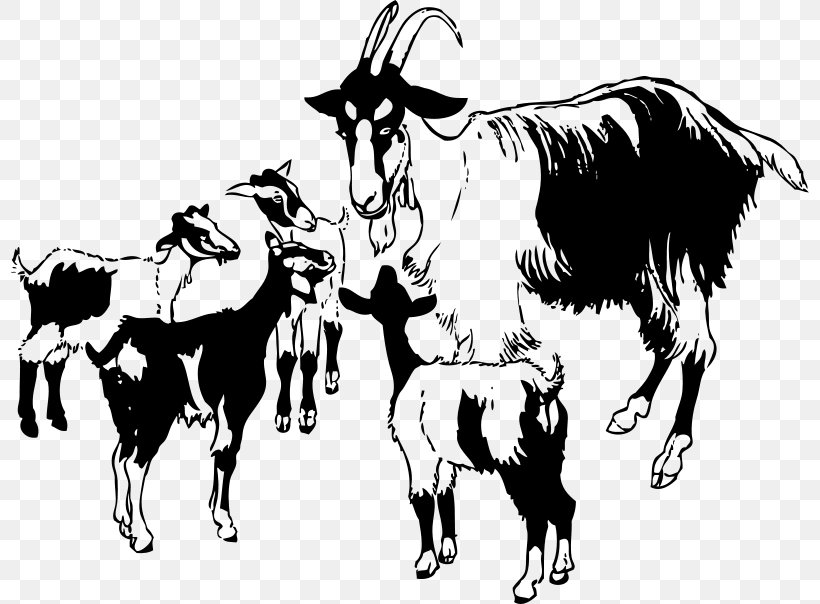 American Lamancha Goat Clip Art Boer Goat Black Bengal Goat Illustration, PNG, 800x604px, American Lamancha Goat, Art, Black Bengal Goat, Blackandwhite, Boer Goat Download Free