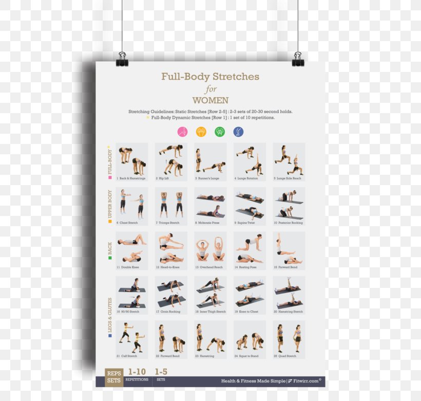 Bodyweight Exercise Stretching Exercise Bands Exercise Balls, PNG, 600x780px, Bodyweight Exercise, Abdominal Exercise, Circuit Training, Core, Dumbbell Download Free