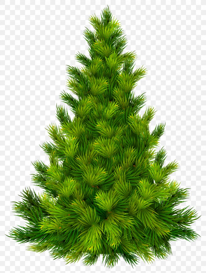 Christmas Tree Christmas Ornament Clip Art, PNG, 1205x1600px, Christmas Tree, Biome, Christmas, Christmas Decoration, Christmas Ornament Download Free
