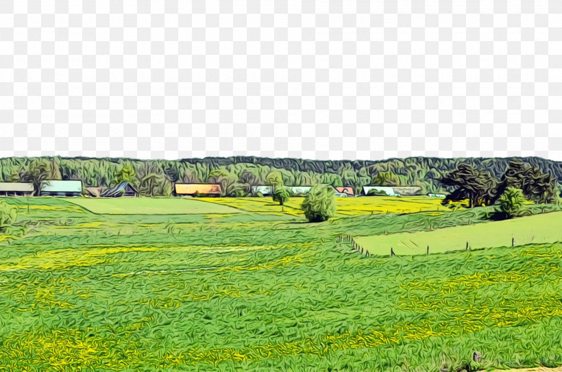 Grassland Nature Reserve Steppe Rural Area Ecoregion, PNG, 1920x1272px, Watercolor, Ecoregion, Grassland, Nature, Nature Reserve Download Free