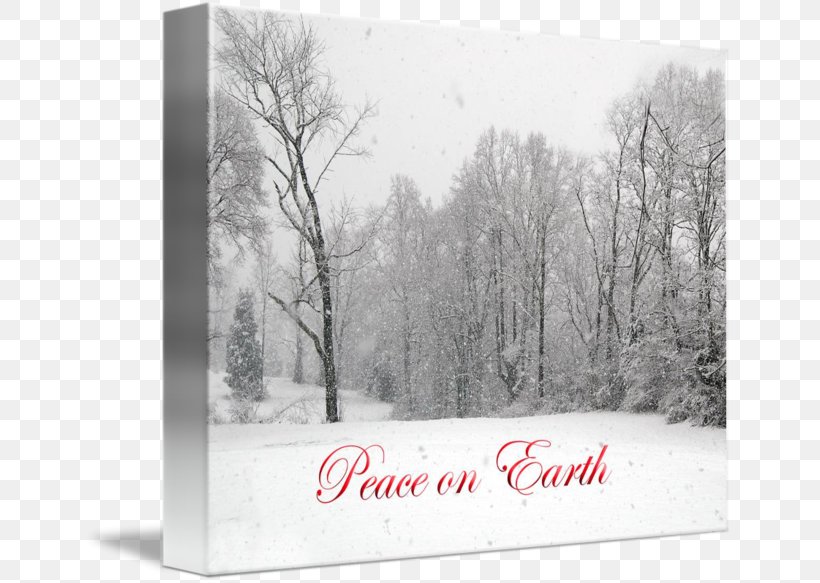 Picture Frames Tree Blizzard Entertainment, PNG, 650x583px, Picture Frames, Black And White, Blizzard, Blizzard Entertainment, Freezing Download Free